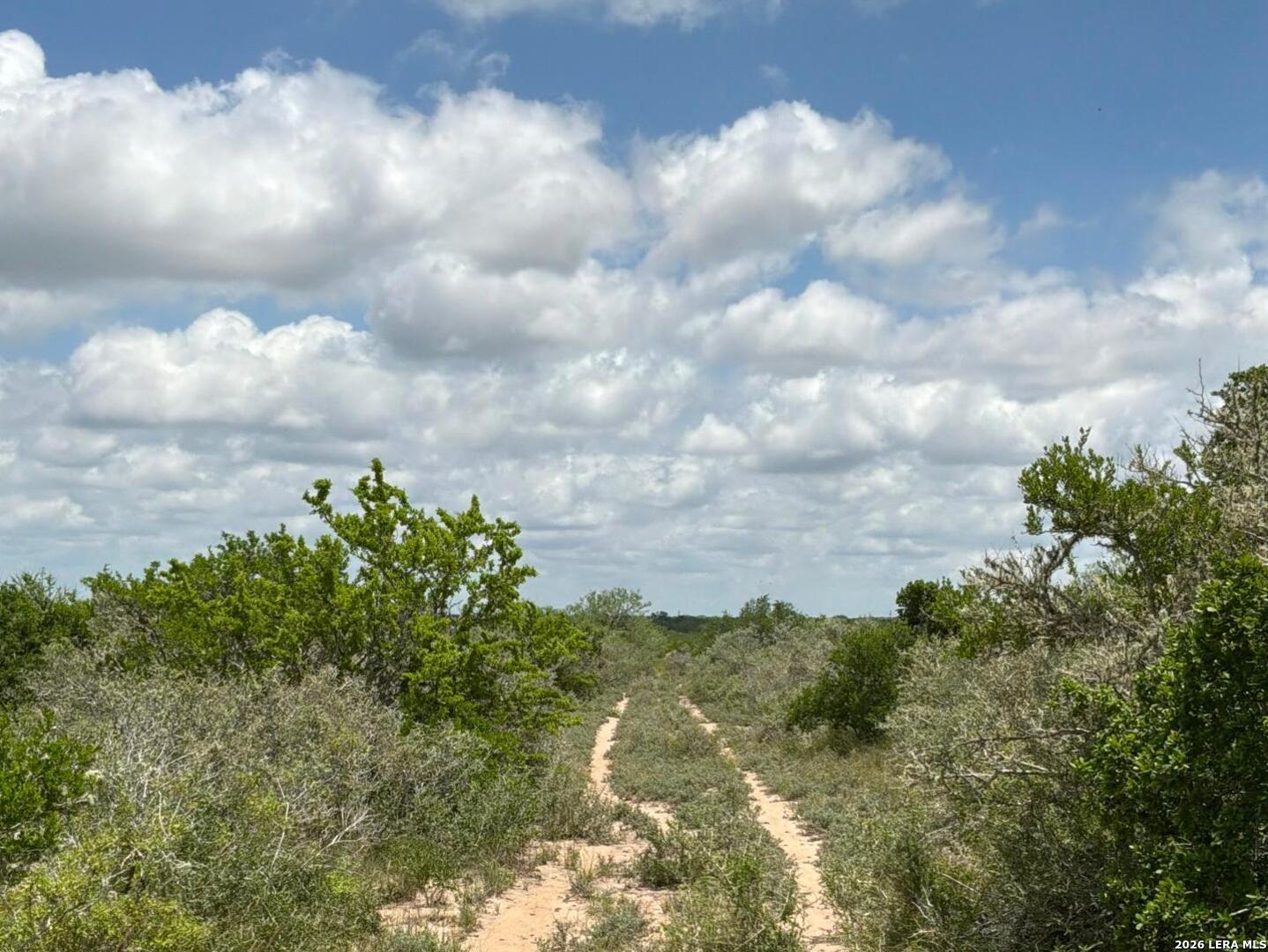 0 Off Highway Freer, TX 78357 - Photo 5 of 8