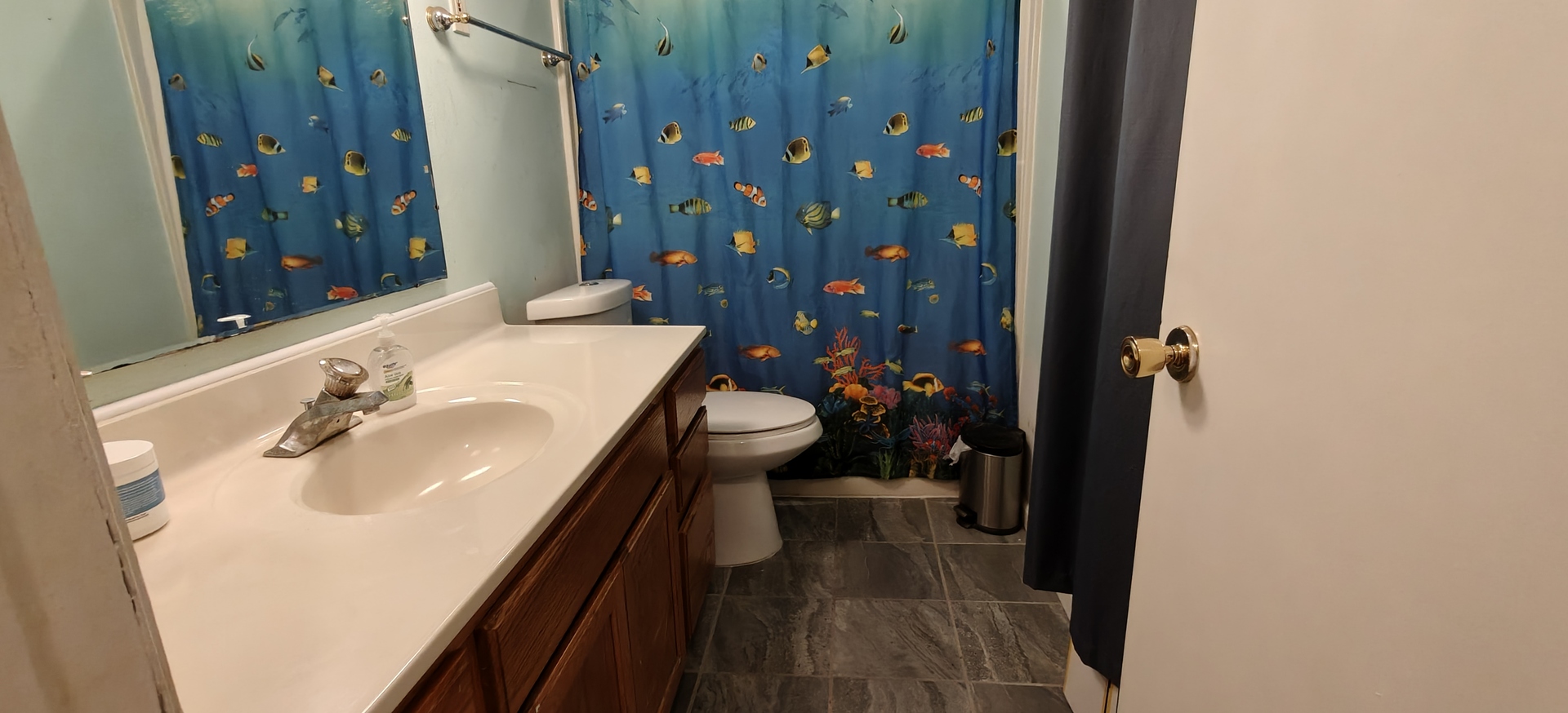 4515 Raven Street Rockford, IL 61107 - Photo 12 of 22 a bathroom with a sink and mirror
