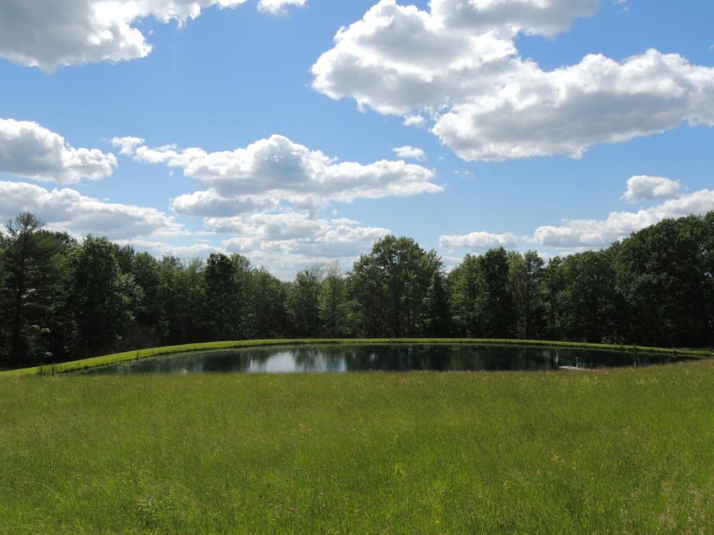 270 Dilly Road Port Crane, NY 13833 - Photo 24 of 35 Gallery Image 24