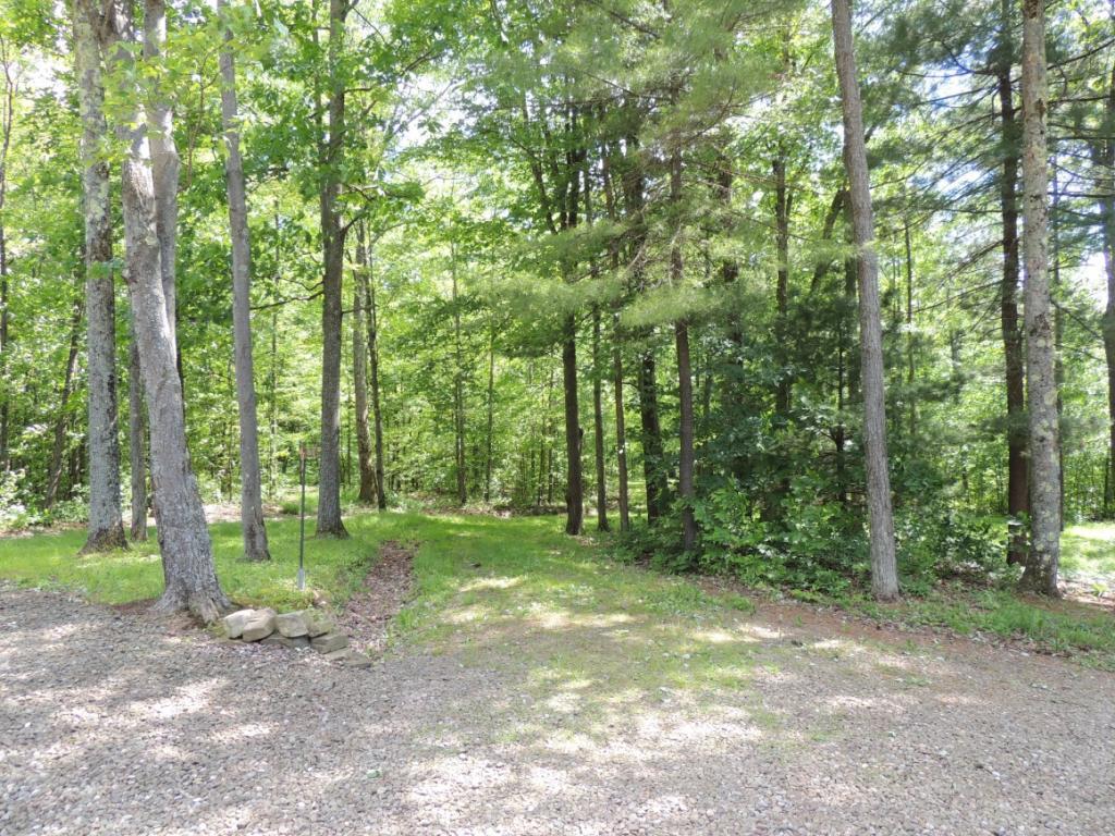 270 Dilly Road Port Crane, NY 13833 - Photo 27 of 35 Gallery Image 27