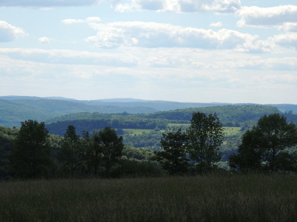 270 Dilly Road Port Crane, NY 13833 - Photo 33 of 35 Gallery Image 33