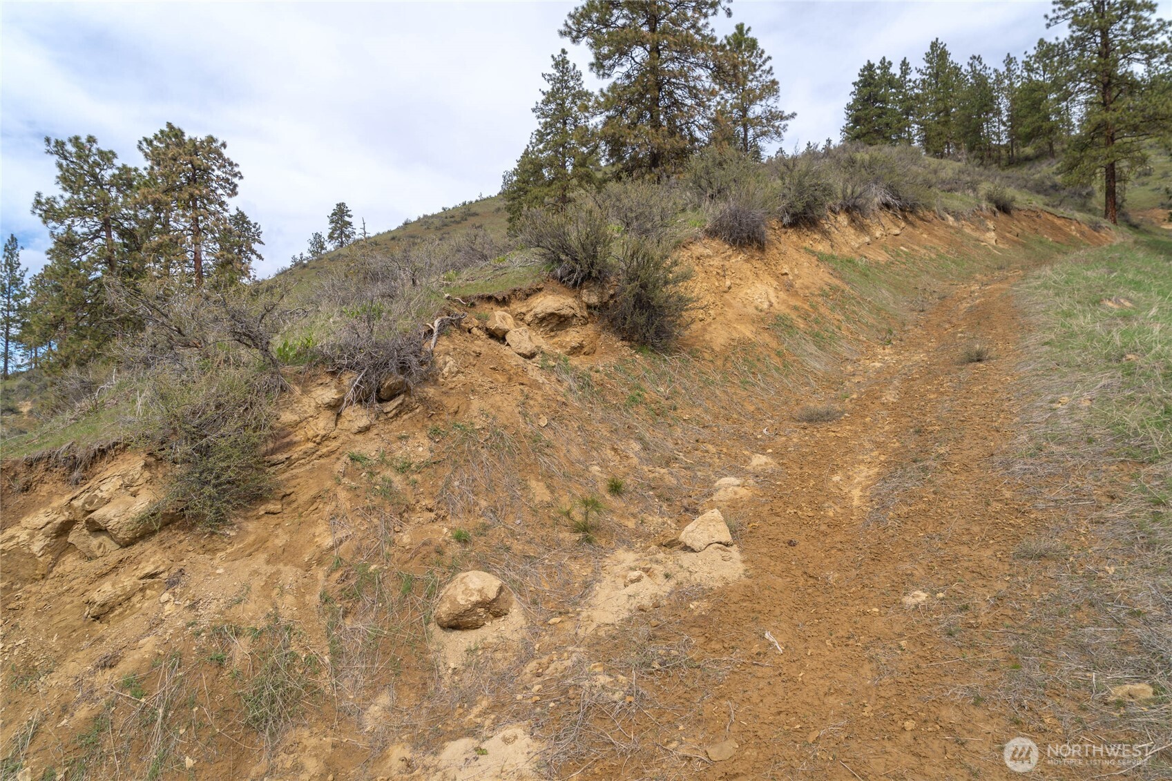 4681 Brisky Canyon Road Cashmere, WA 98815 - Photo 13 of 21