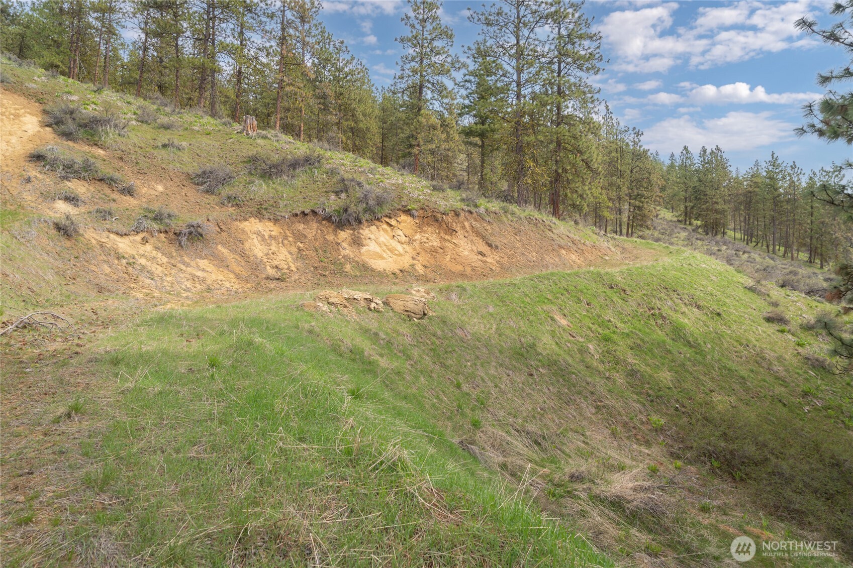 4681 Brisky Canyon Road Cashmere, WA 98815 - Photo 15 of 21