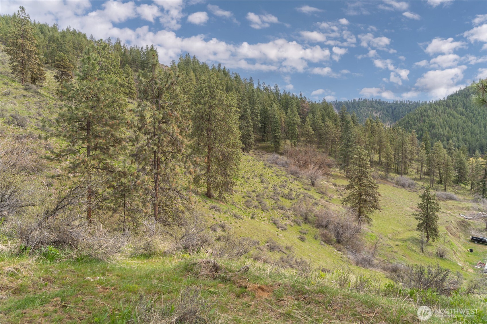 4681 Brisky Canyon Road Cashmere, WA 98815 - Photo 3 of 21