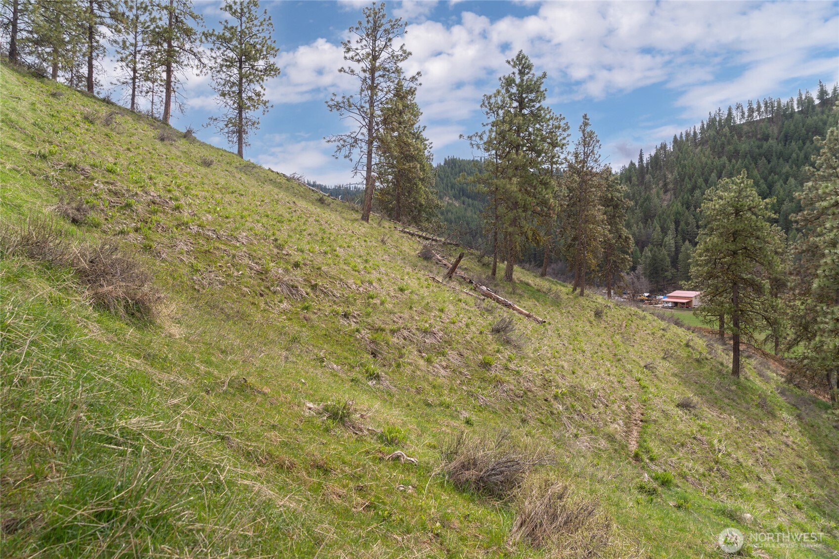 4681 Brisky Canyon Road Cashmere, WA 98815 - Photo 4 of 21