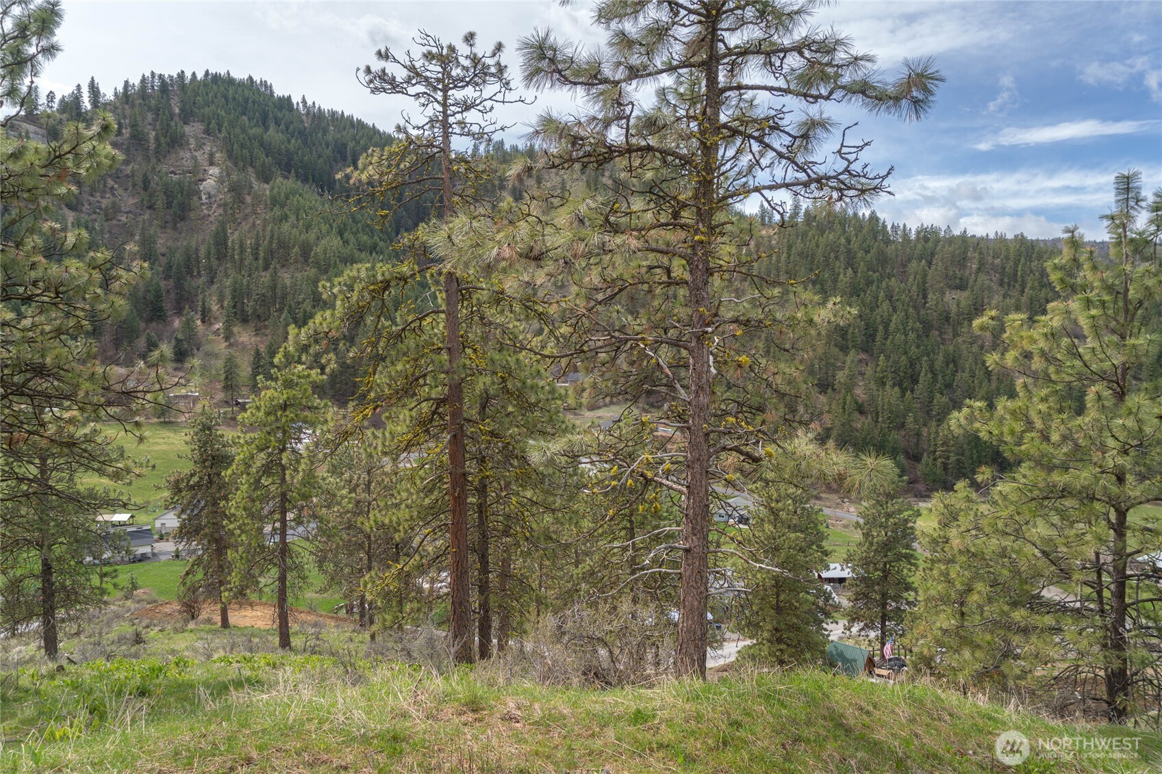 4681 Brisky Canyon Road Cashmere, WA 98815 - Photo 5 of 21