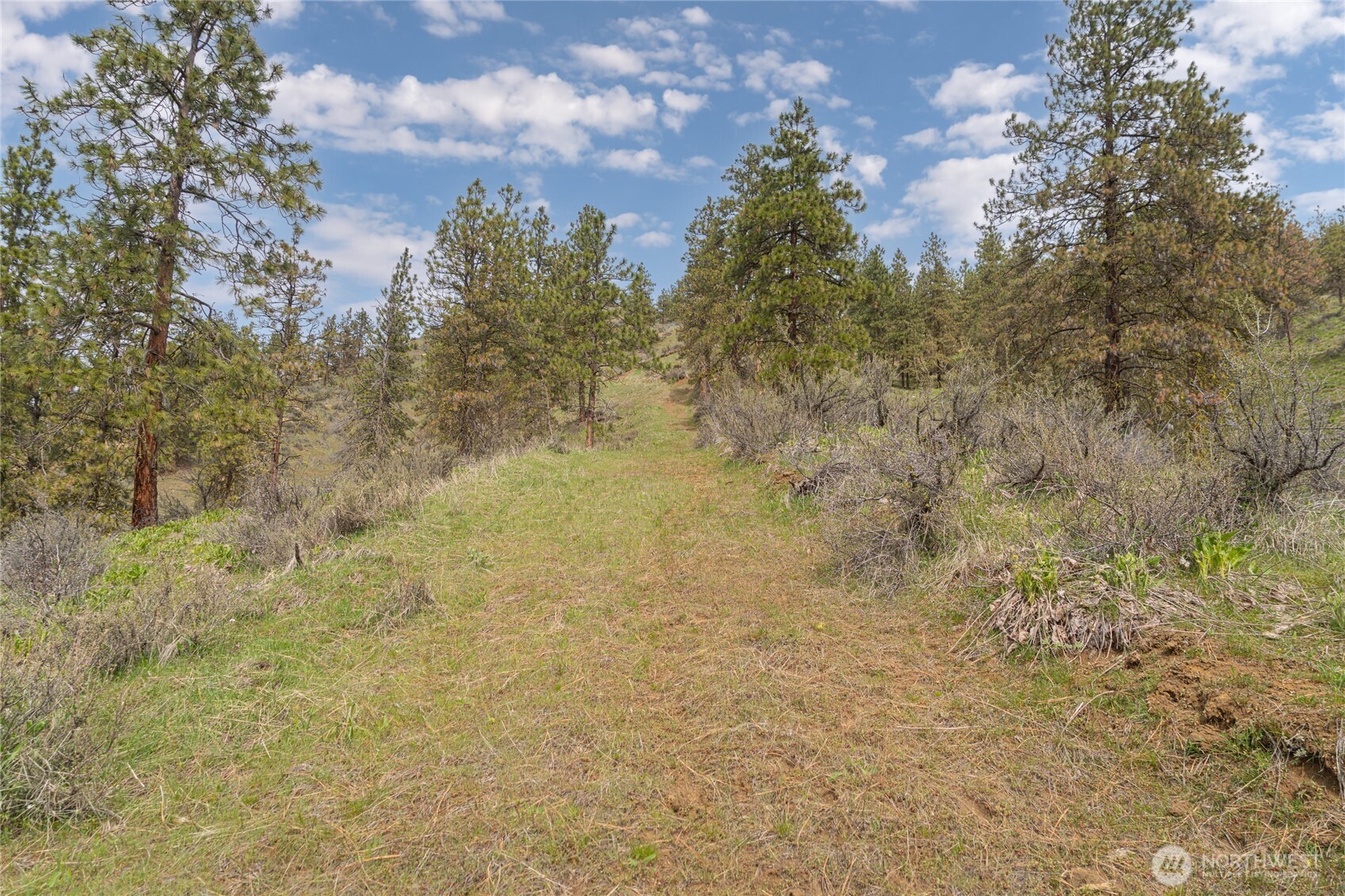 4681 Brisky Canyon Road Cashmere, WA 98815 - Photo 6 of 21