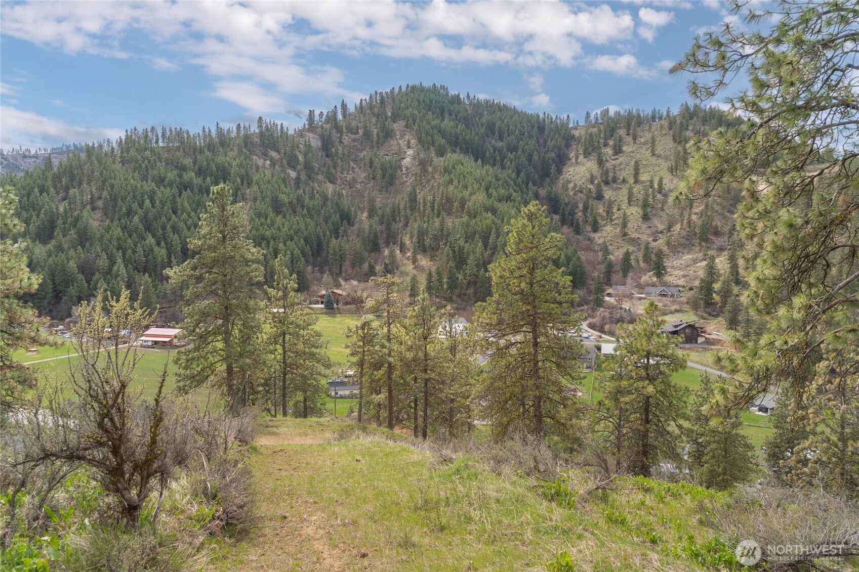 4681 Brisky Canyon Road Cashmere, WA 98815 - Photo 7 of 21
