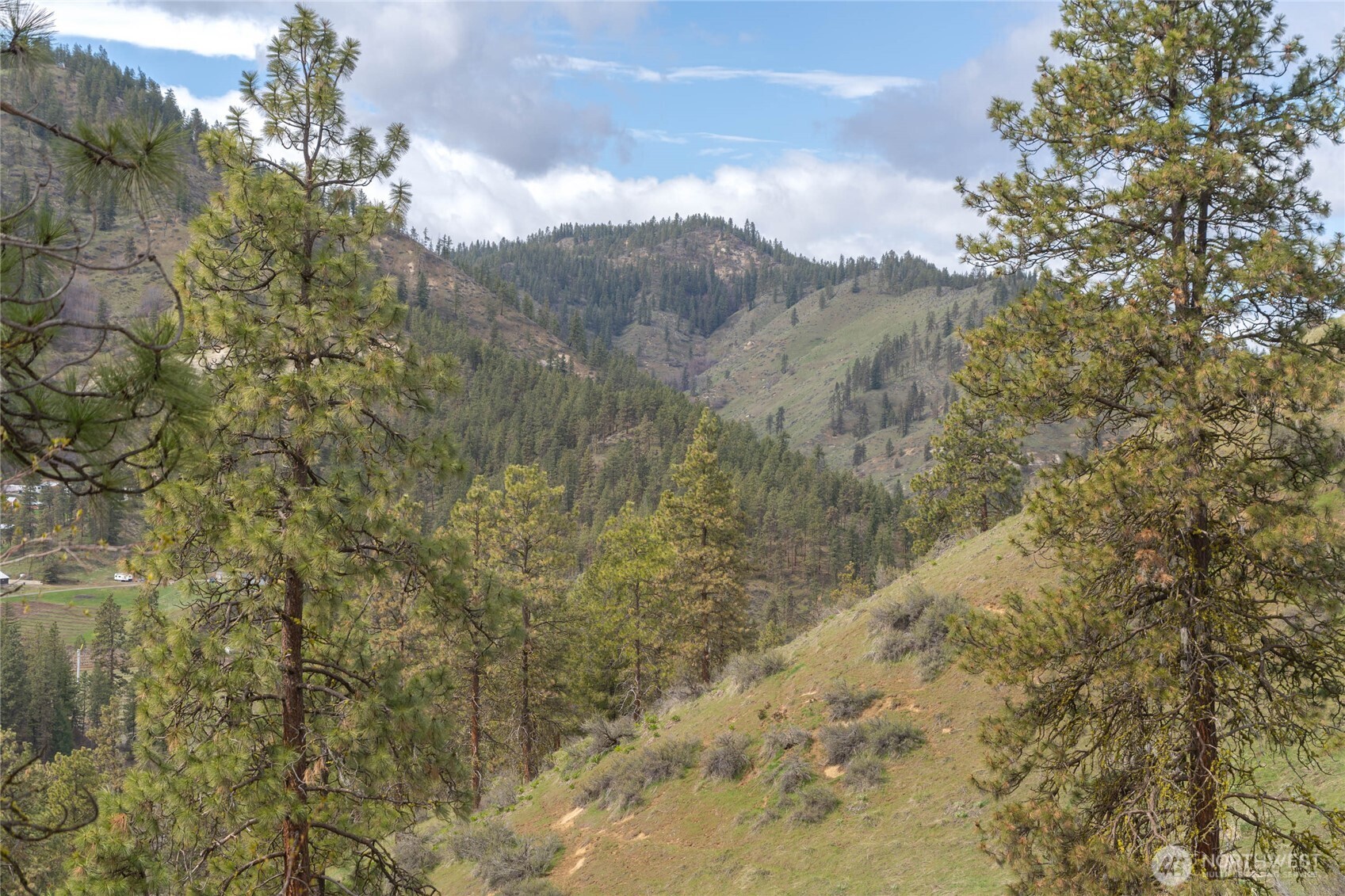 4681 Brisky Canyon Road Cashmere, WA 98815 - Photo 8 of 21