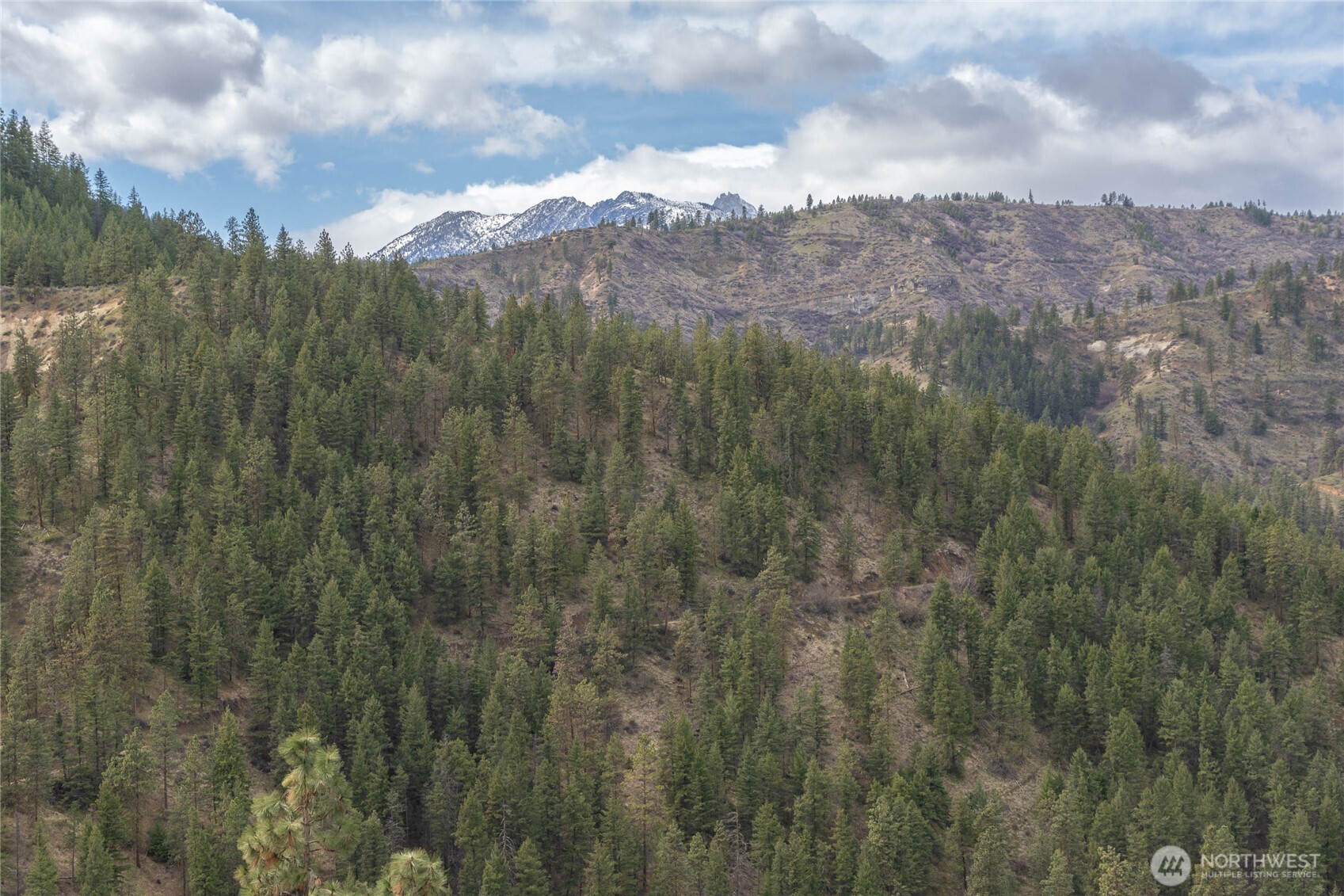 4681 Brisky Canyon Road Cashmere, WA 98815 - Photo 9 of 21