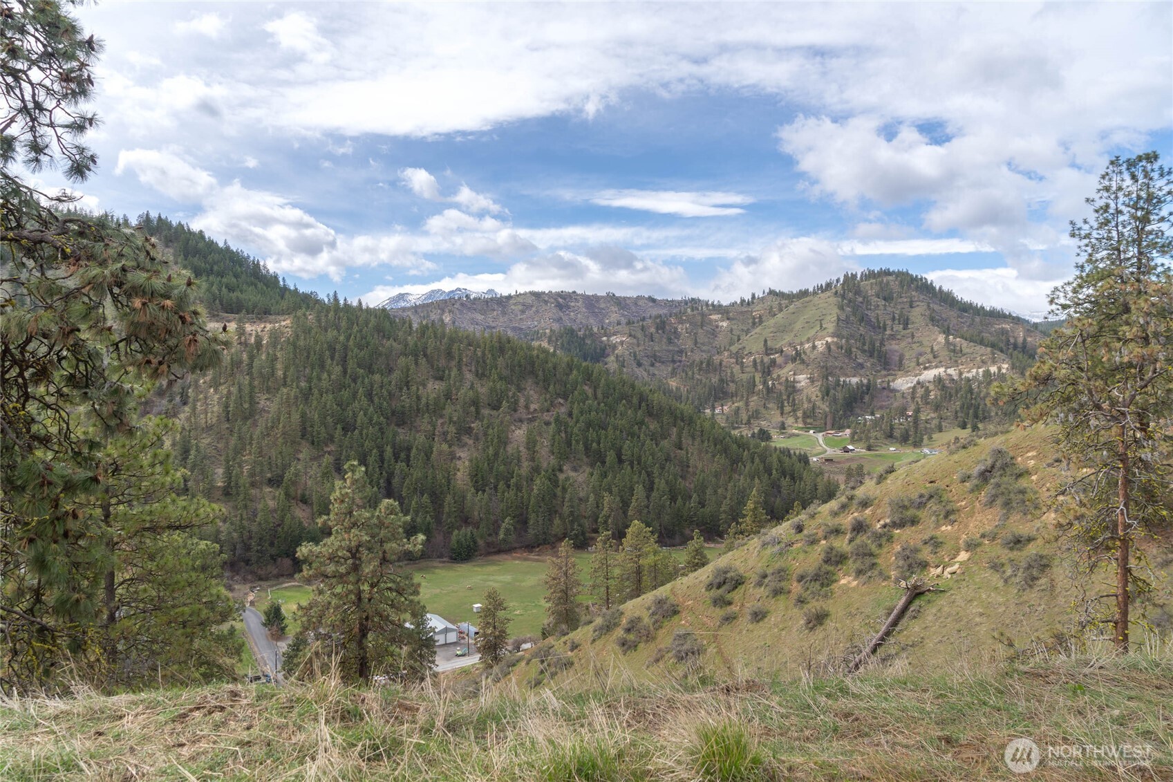 4681 Brisky Canyon Road Cashmere, WA 98815 - Photo 10 of 21