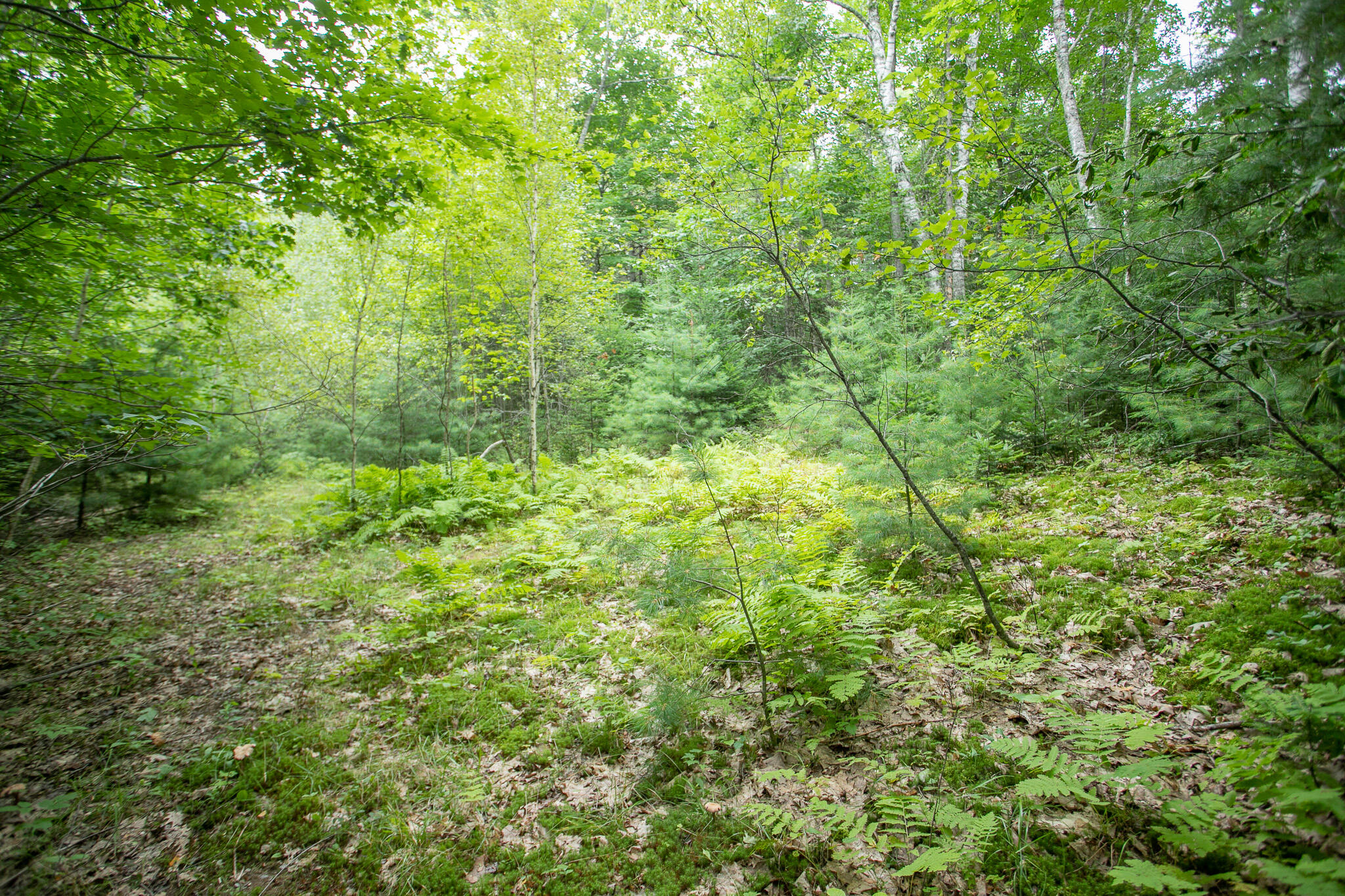 Lot 44-6 Five Road Carmel, ME 04419 - Photo 21 of 21 IMG_0476