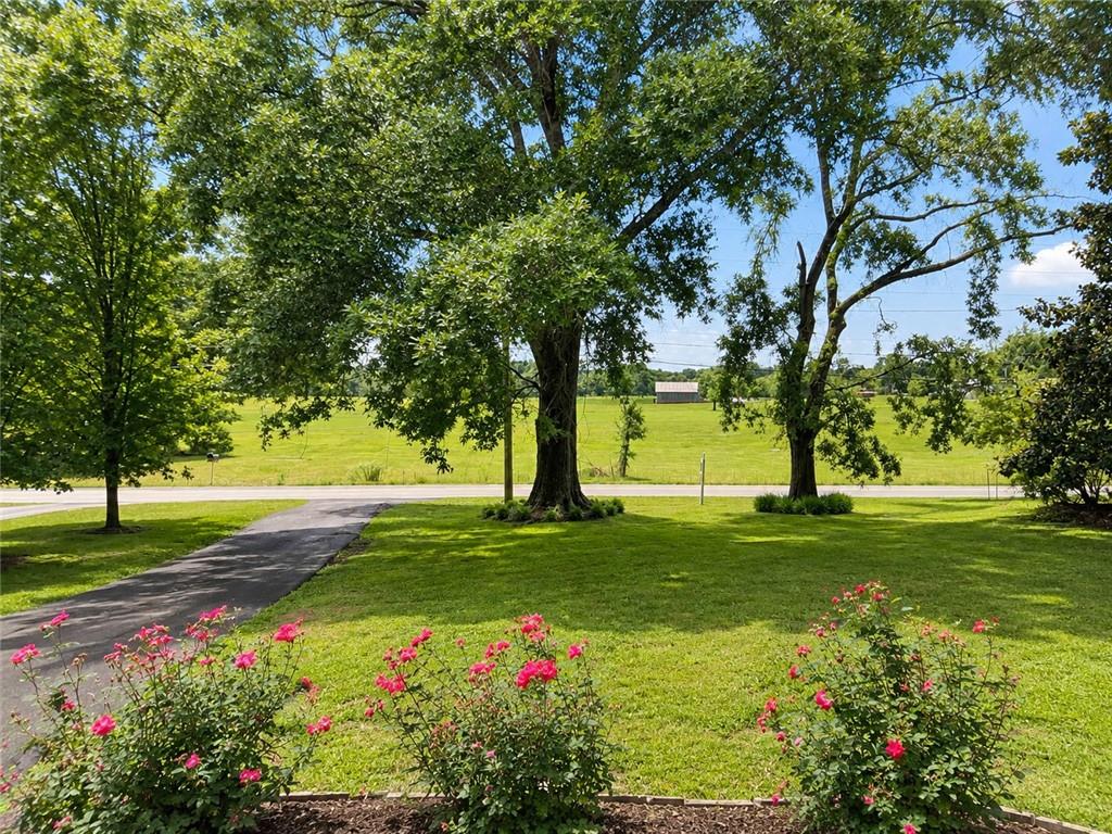 212 Craigtown Road Northeast Calhoun, GA 30701 - Photo 2 of 21 a view of a garden with a tree