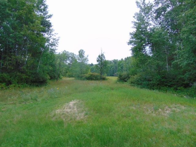1844 Smith Road Gladwin, MI 48624 - Photo 3 of 28