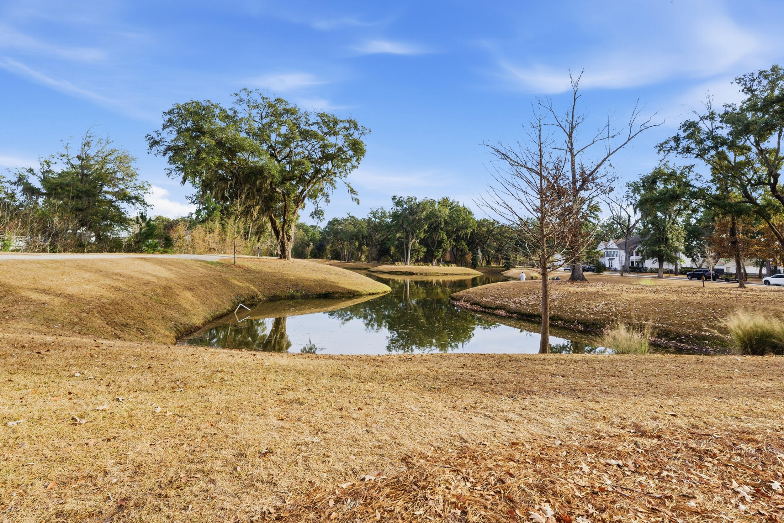 2101 Utsey Street Johns Island, SC 29455 - Photo 32 of 35 Andrew Flowers - 32
