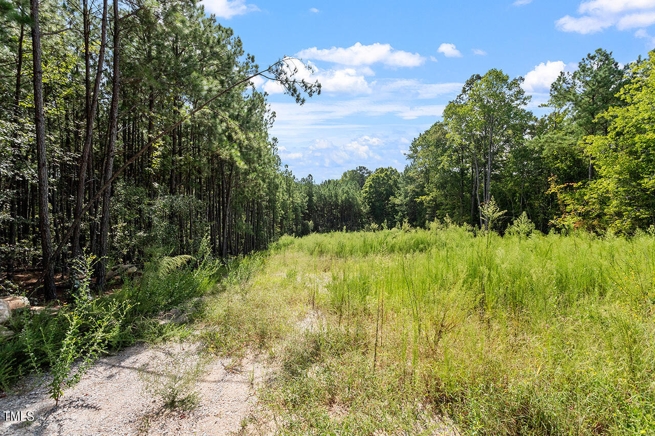 7524 Mitchell Mill Road Zebulon, NC 27597 - Photo 23 of 23 7524 Mitchell Mill Road_22