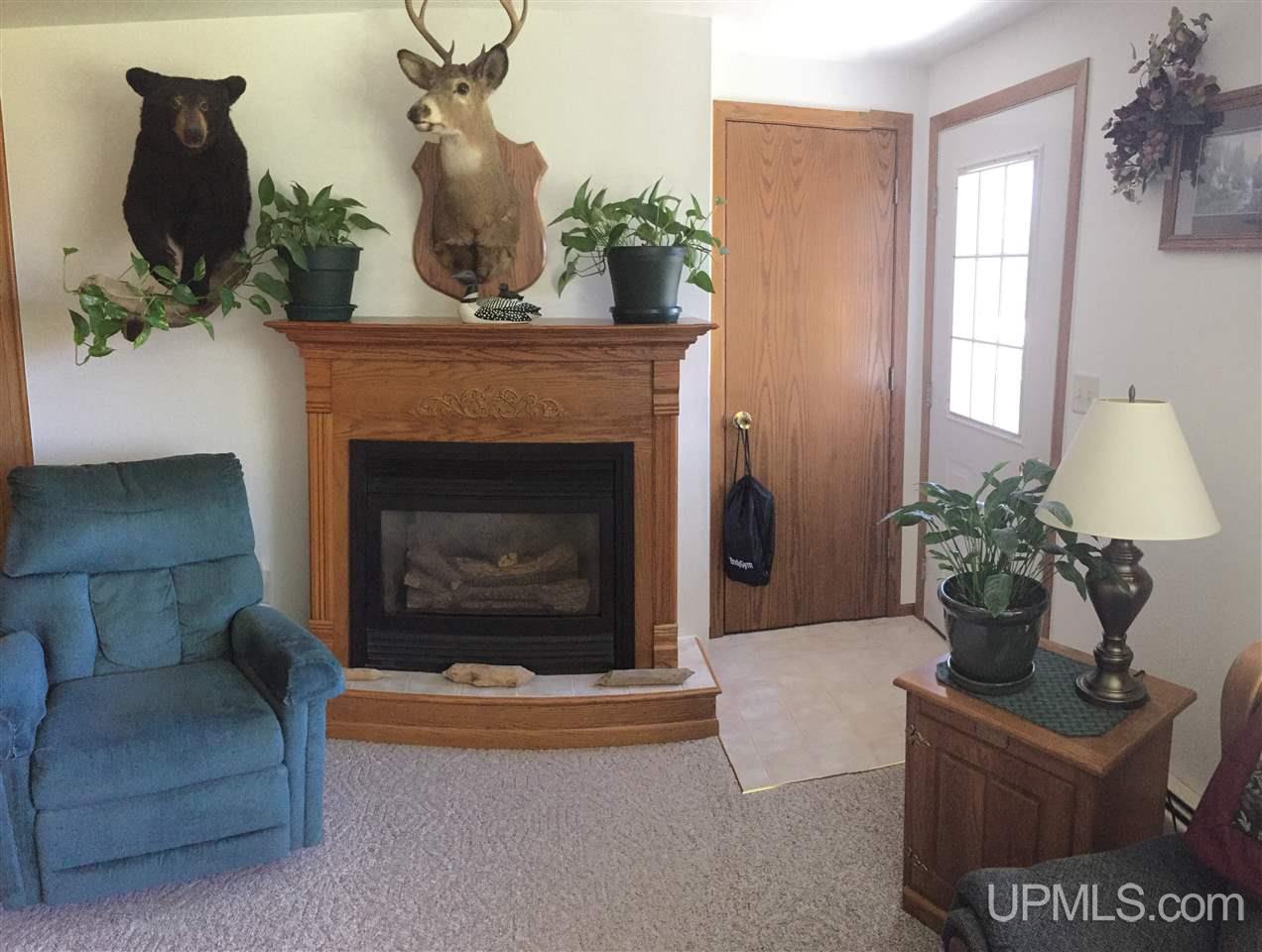 3086 Torma Road Eben Junction, MI 49825 - Photo 15 of 24