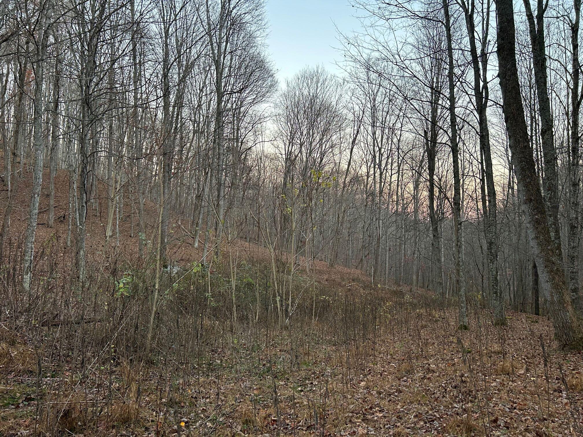 Dale Hollow Road Renick, WV 24966 - Photo 12 of 17 Gallery Image 12