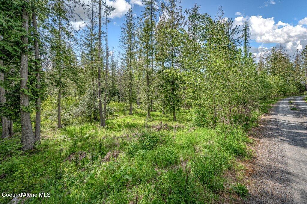 Oleander Drive Sandpoint, ID 83864 - Photo 11 of 22 15_Oleander Drive