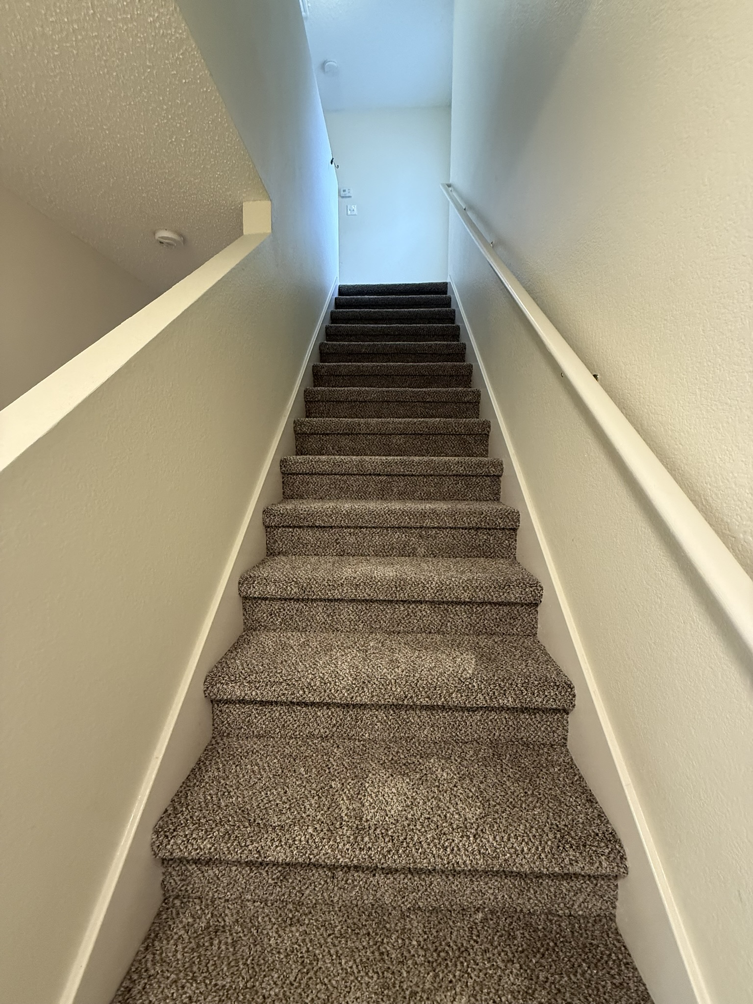 2304 Granberry Drive, Unit B Austin, TX 78745 - Photo 16 of 24 Carpeted staircase with white handrails and textured walls