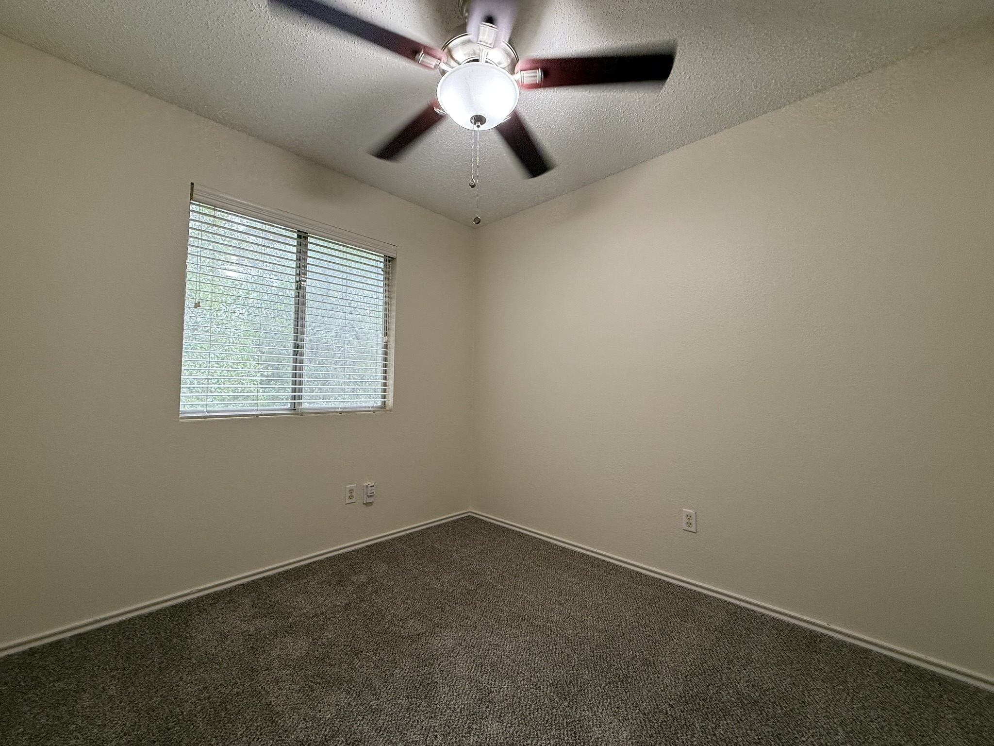 2304 Granberry Drive, Unit B Austin, TX 78745 - Photo 17 of 24 Neutral wall tones complement the textured carpet flooring