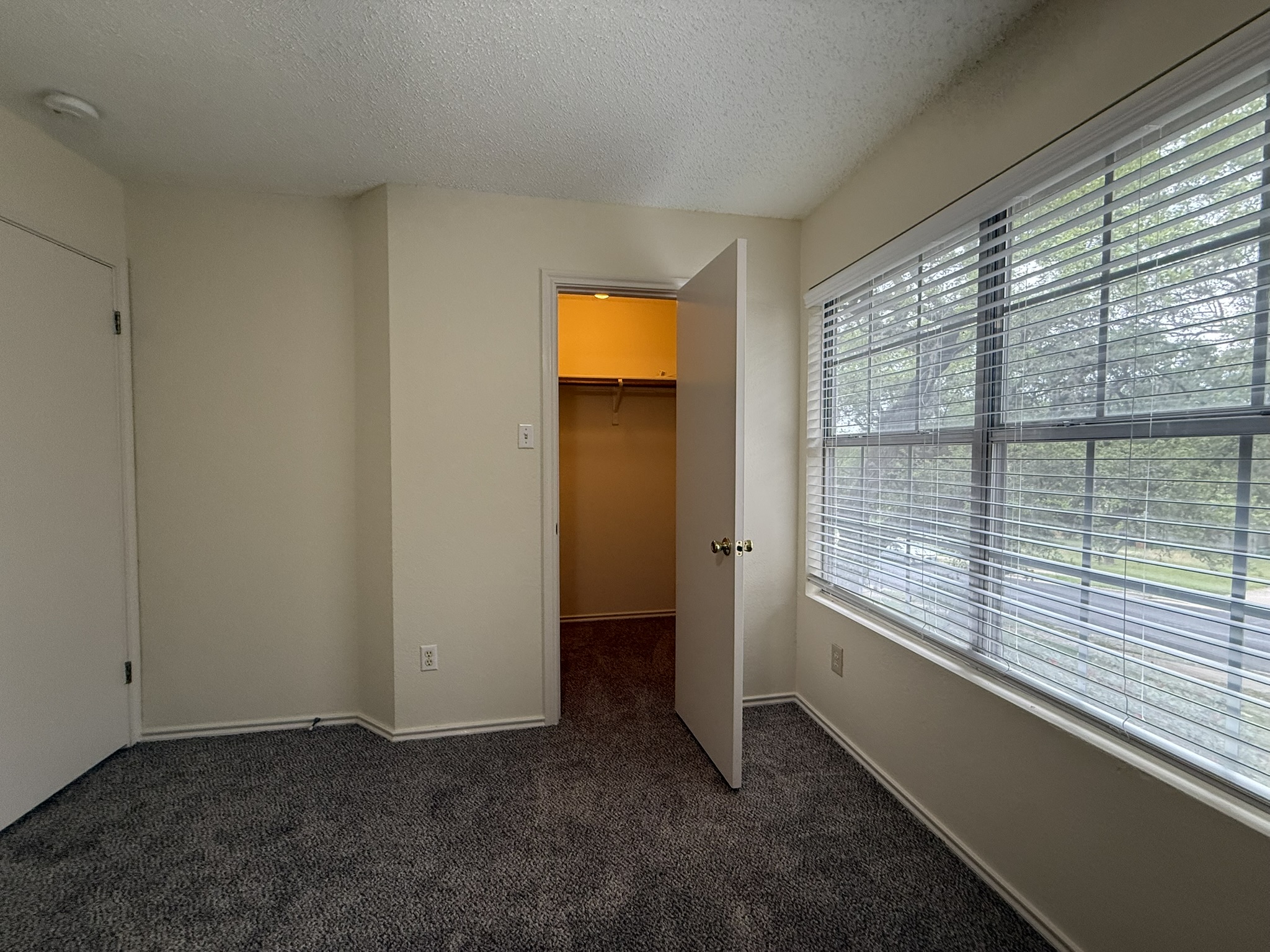 2304 Granberry Drive, Unit B Austin, TX 78745 - Photo 22 of 24 Room featuring plush grey carpet, light-toned wall paint, and a window with horizontal blinds