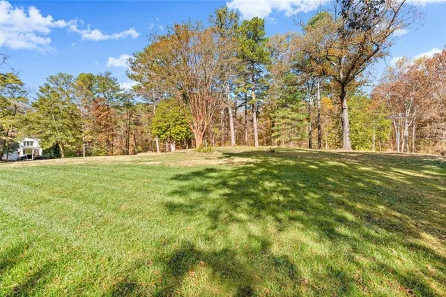 a big yard with tree s