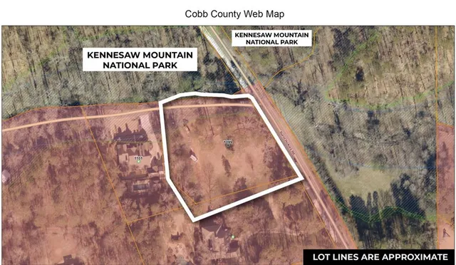 a picture of a park on a wall