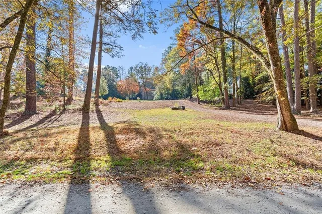 a view of yard with tree in the background