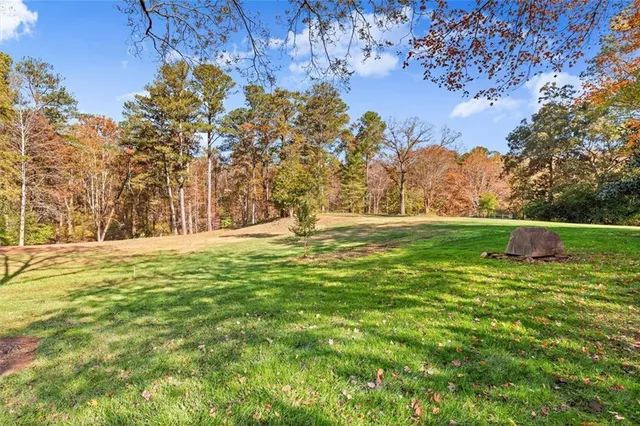 a backyard of a house with lots of green space