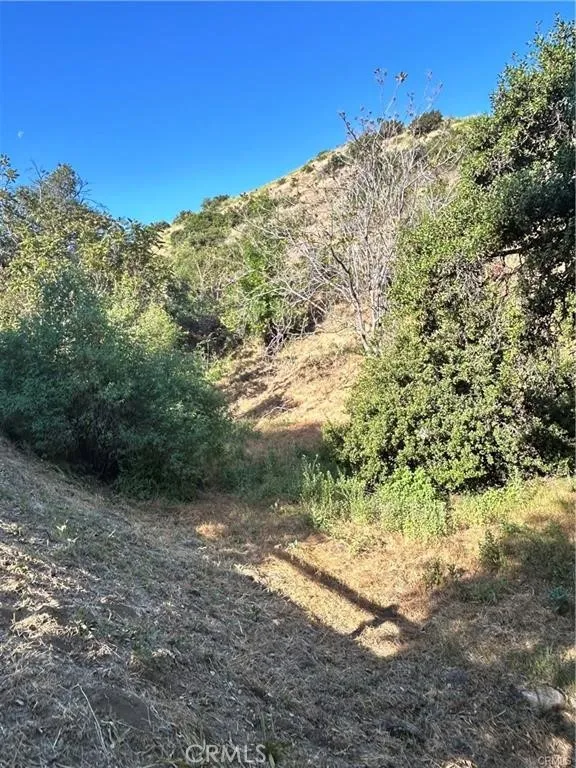 9611 Wornom Sunland, CA 91040 - Photo 4 of 13 a view of a yard with a tree
