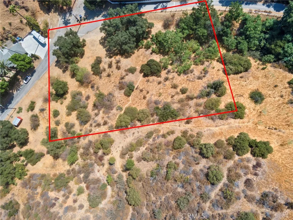 9611 Wornom Sunland, CA 91040 - Photo 7 of 13 a view of yard