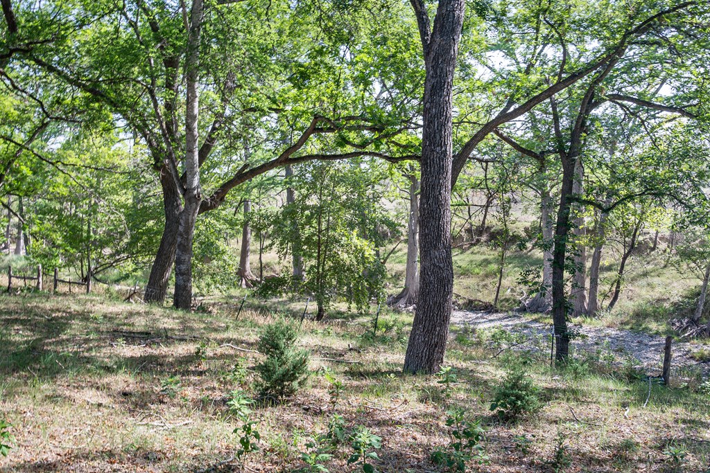 535 China Street Center Point, TX 78010 - Photo 20 of 28
