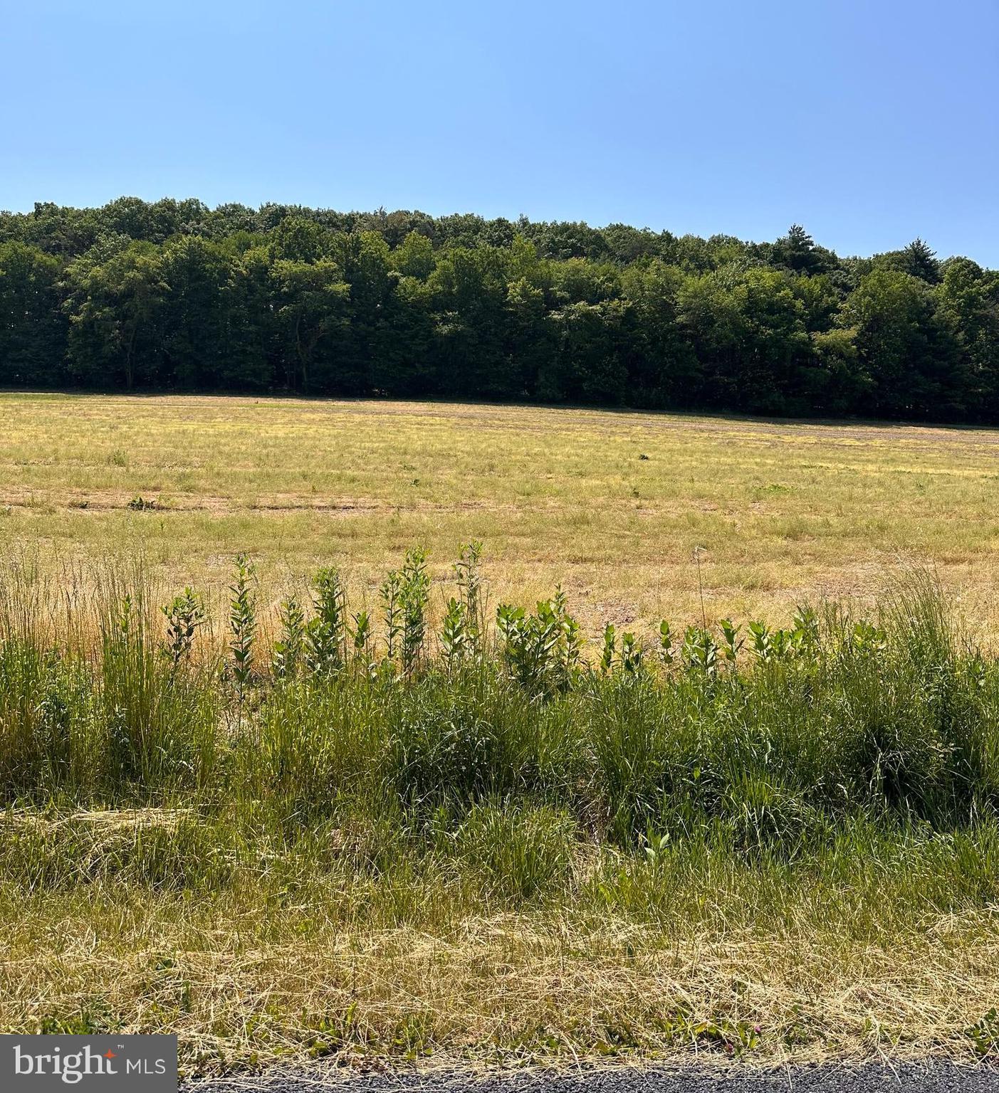 0 Kline Hollow Road Liverpool, PA 17045 - Photo 1 of 7 Gallery Image 1