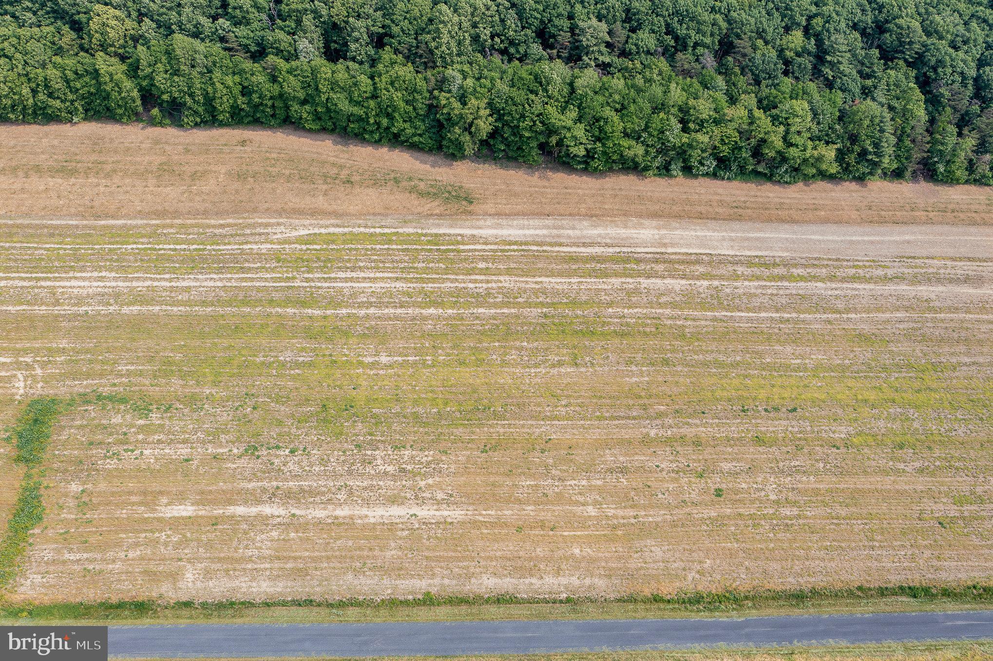 0 Kline Hollow Road Liverpool, PA 17045 - Photo 2 of 7 Gallery Image 2