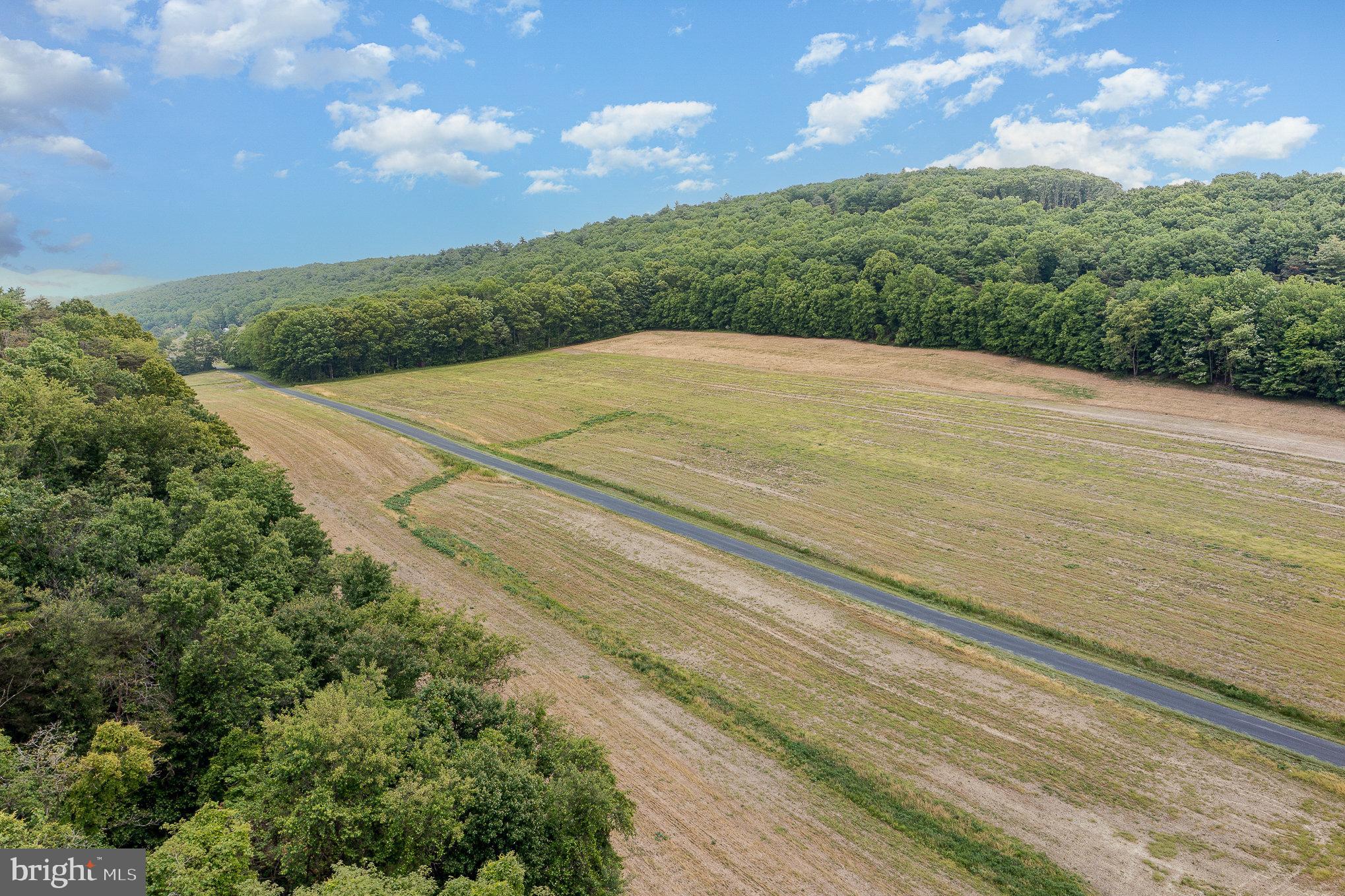 0 Kline Hollow Road Liverpool, PA 17045 - Photo 3 of 7 Gallery Image 3