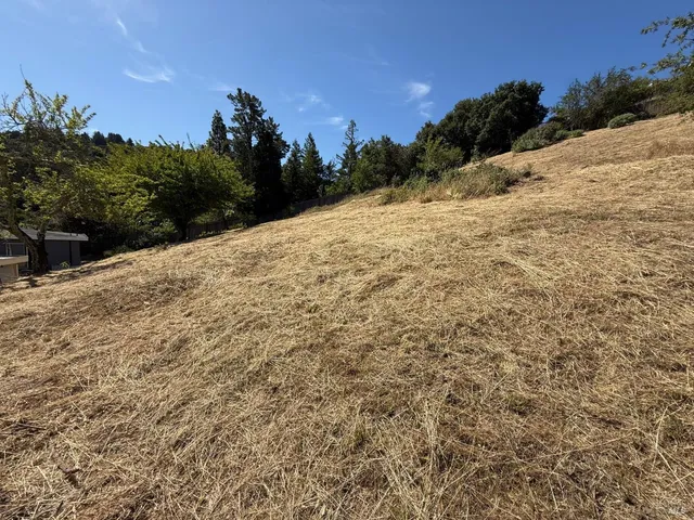 $1,375,000 | 65 Circle Road, San Rafael, CA 94903