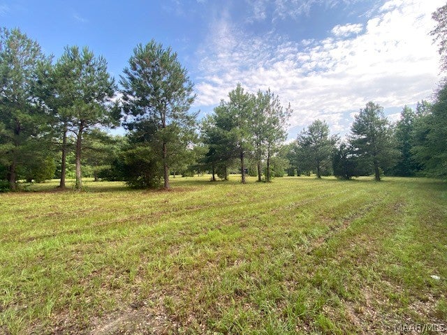 381 Hooks Road Shorter, AL 36075 - Photo 3 of 14 Gallery Image 3