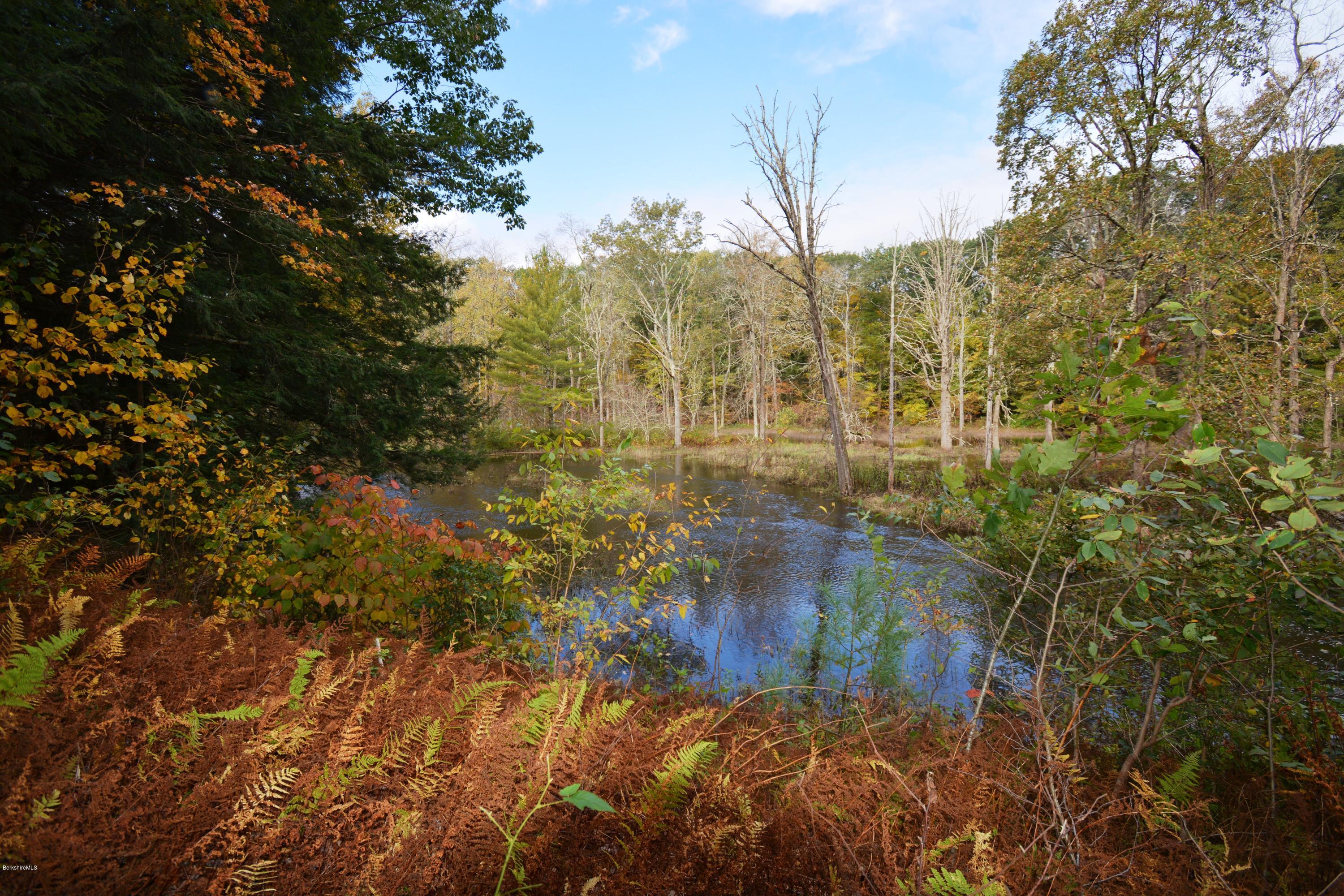 828 Salisbury Road Sheffield, MA 01257 - Photo 10 of 20 Schenob Brook