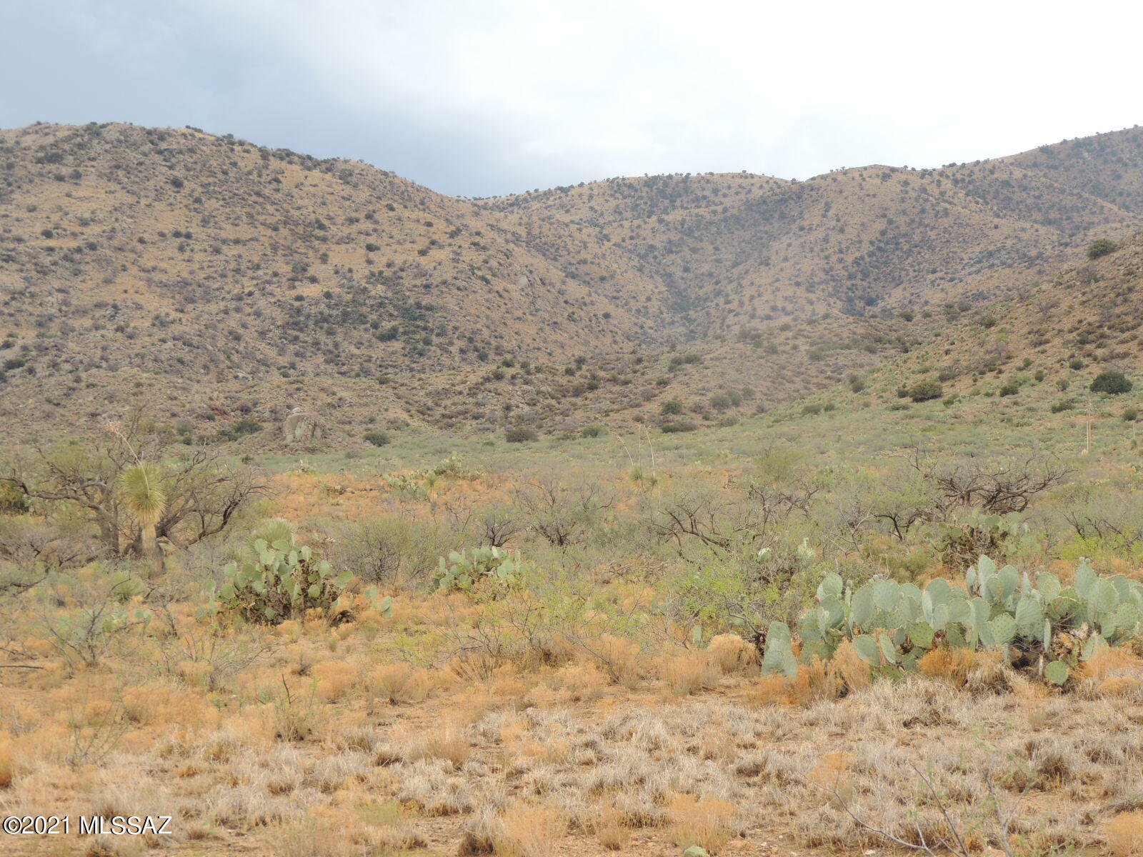 40.82 Acres Mulkins Ranch Road, Unit 11 Bowie, AZ 85605 - Photo 2 of 17