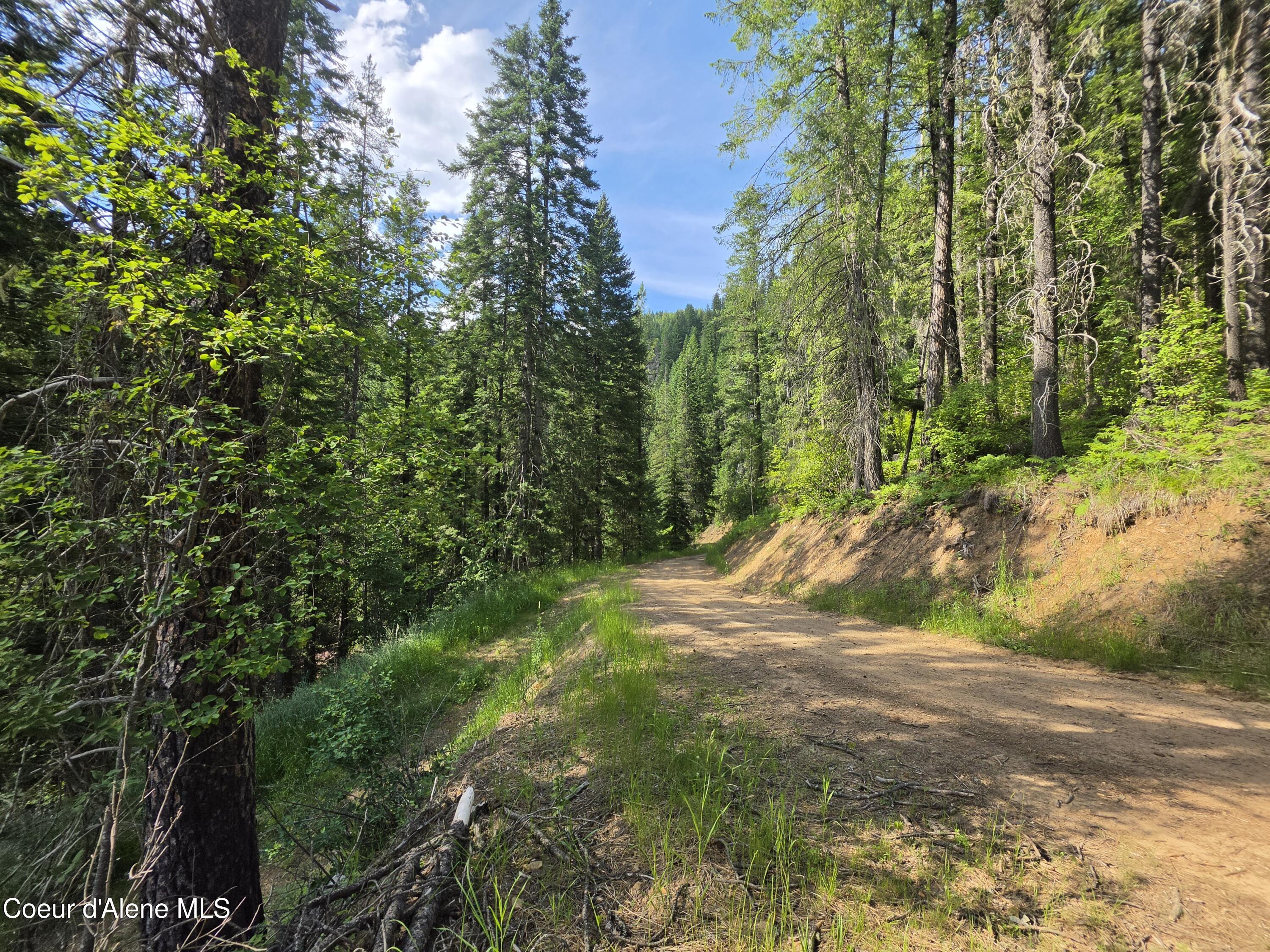 480 Dunn Peak Road Avery, ID 83802 - Photo 30 of 66 6372