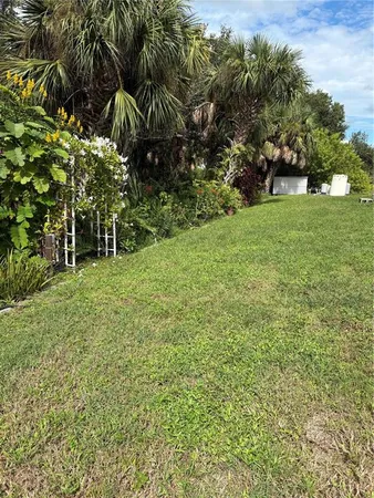 a view of a tree in a yard