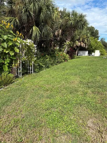 a view of a tree in a yard