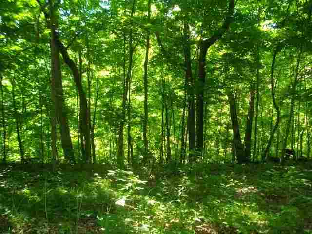 1271 Florence Road Lacon, IL 61540 - Photo 9 of 10 Gallery Image 9
