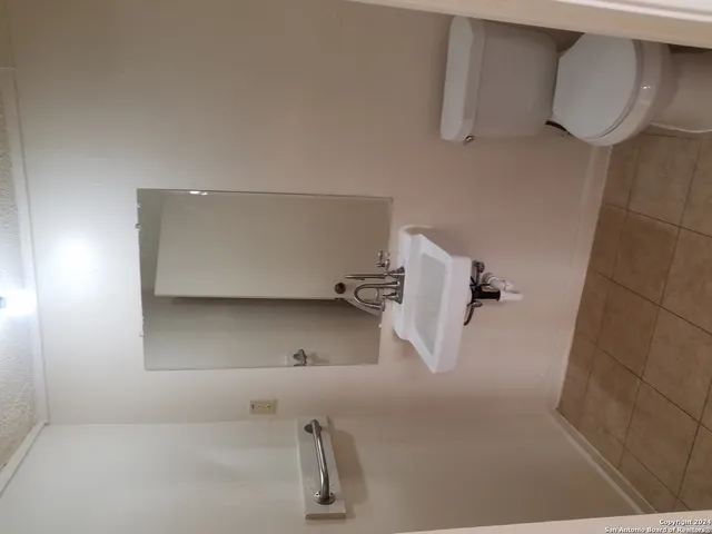 a bathroom with a sink and a toilet