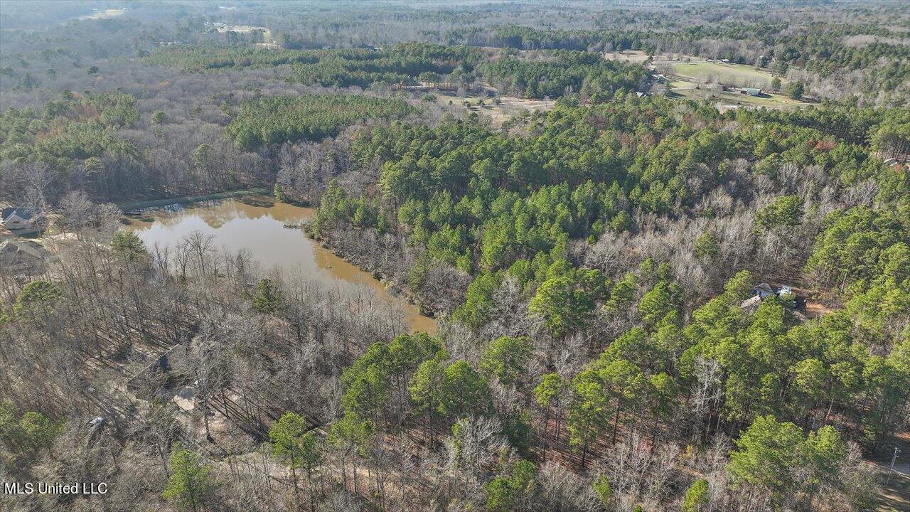 1074 Ridgeside Drive Brandon, MS 39042 - Photo 8 of 30 28-1074 Ridgeside Dr