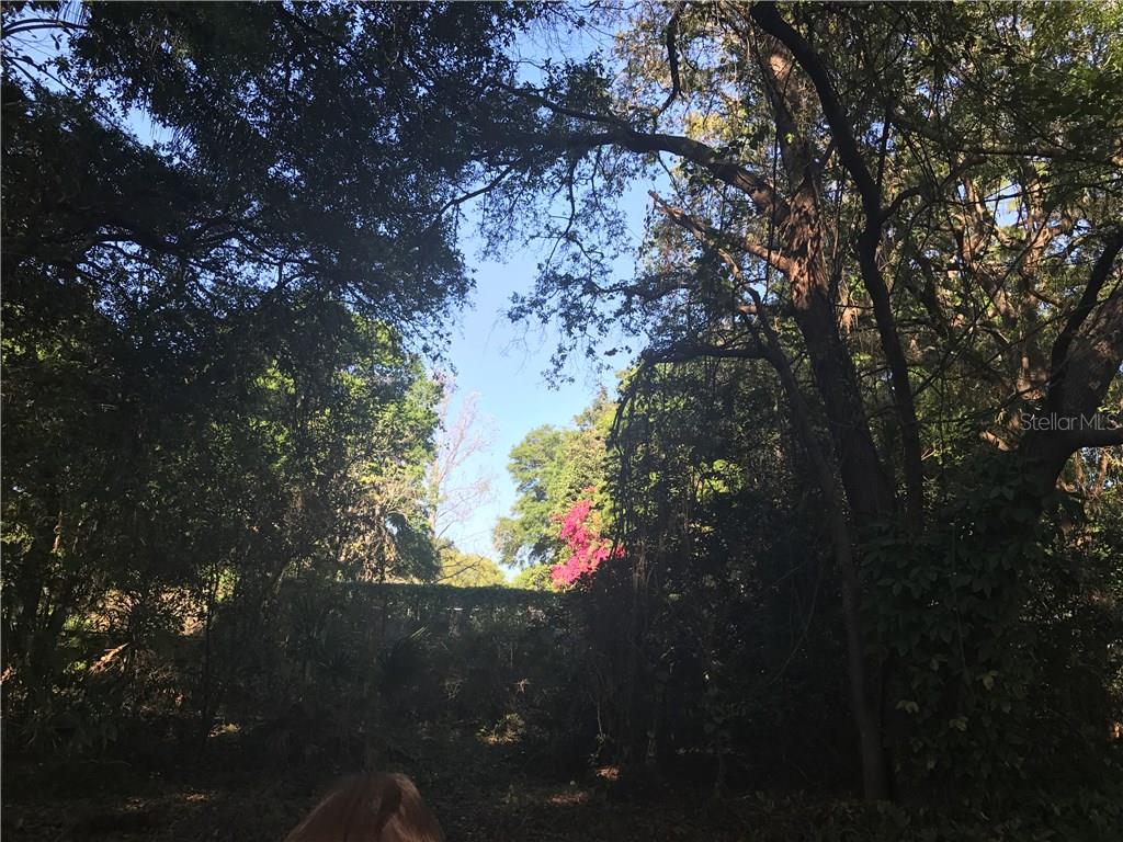 Spring Valley Loop Altamonte Springs, FL 32714 - Photo 10 of 12 Gallery Image 10