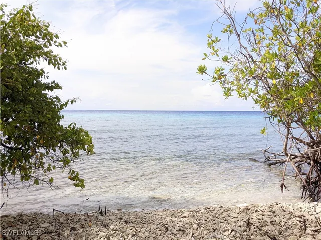 a view of a yard with wooden fence