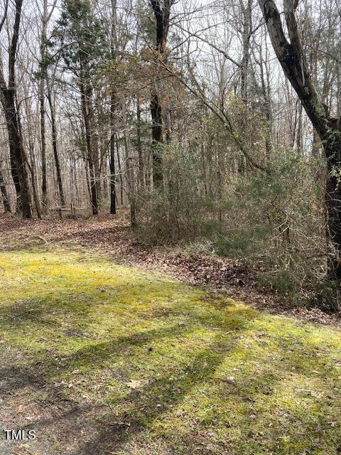 0 Winston Road Creedmoor, NC 27522 - Photo 11 of 21 IMG_9072 (1)