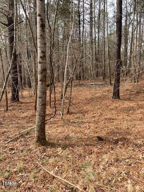 0 Winston Road Creedmoor, NC 27522 - Photo 13 of 21 IMG_9077